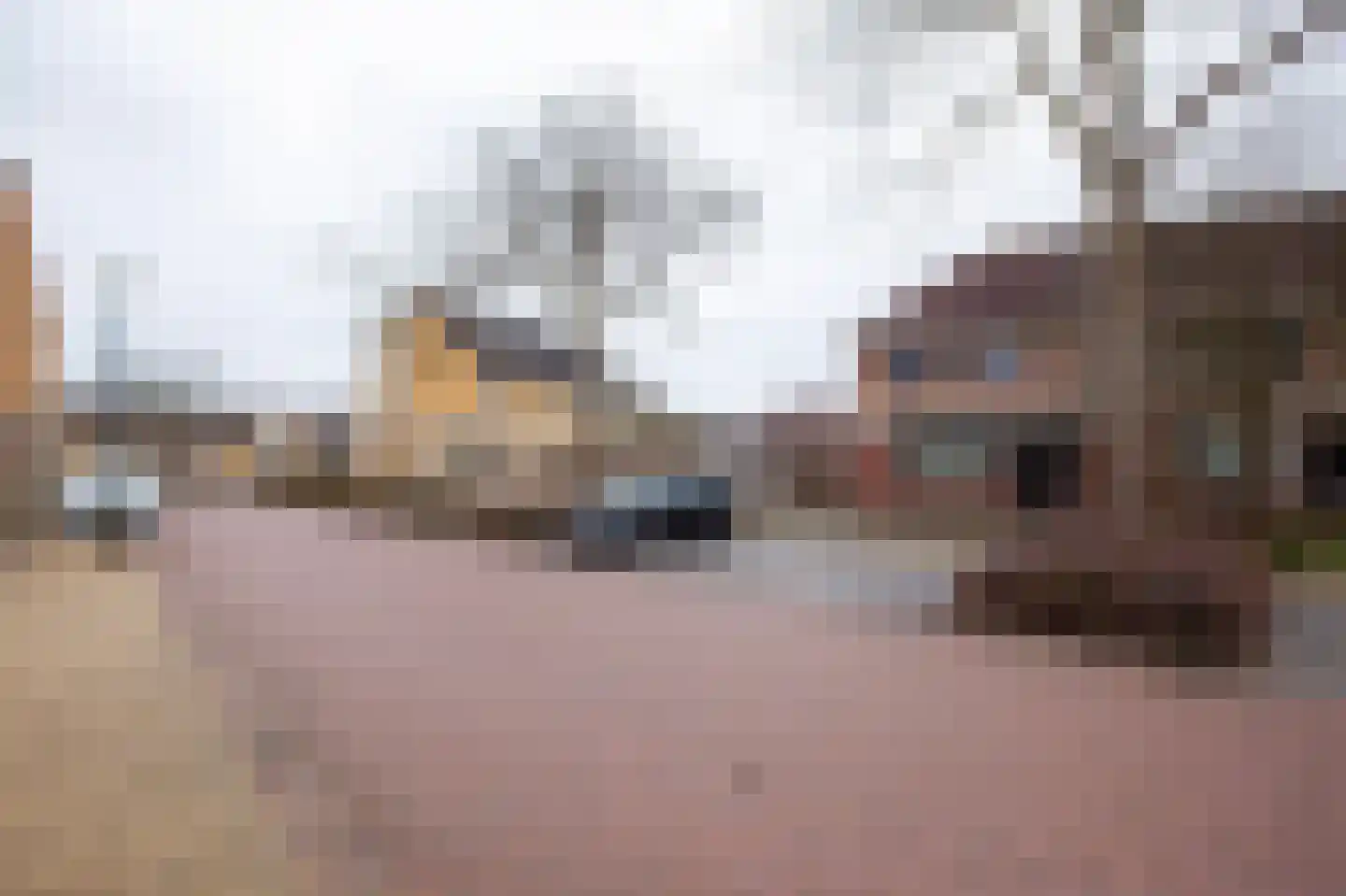 W. Dreeslaan 1 Winterswijk thumbnail 30
