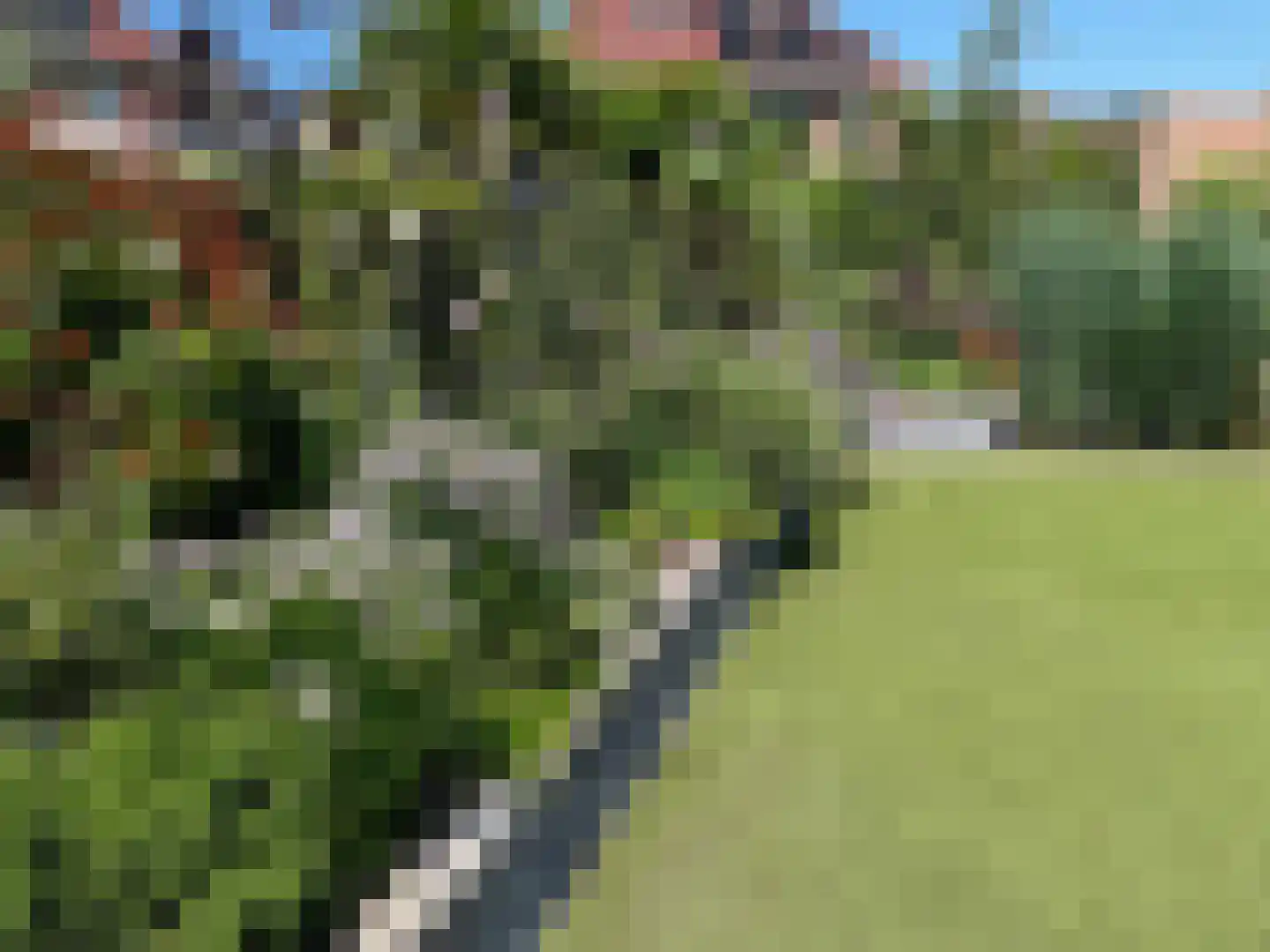 W. Dreeslaan 36 Winterswijk thumbnail 10