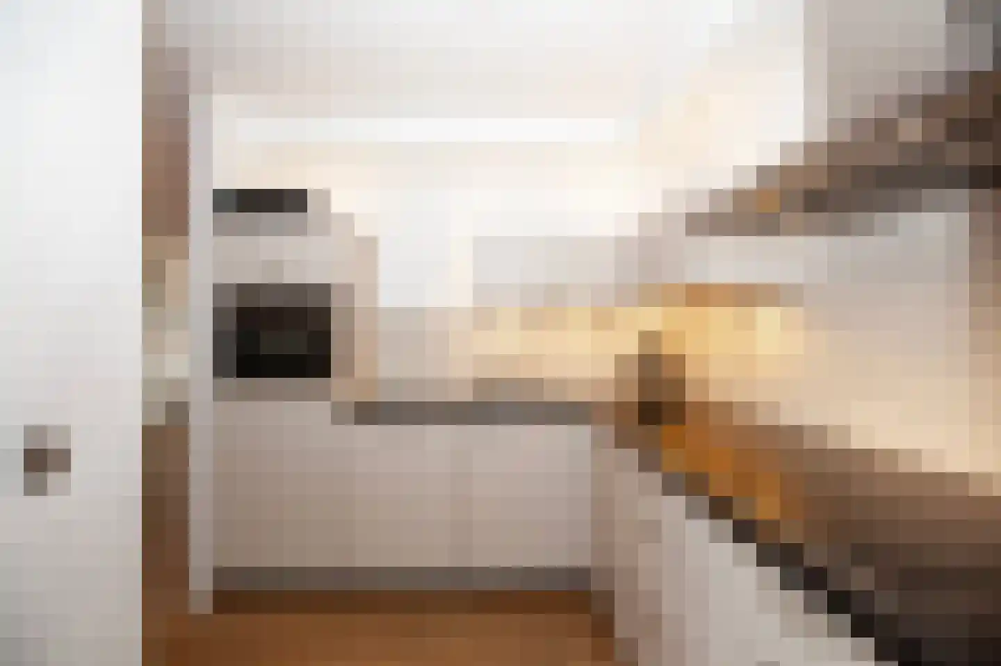 W. Dreeslaan 36 Winterswijk thumbnail 22