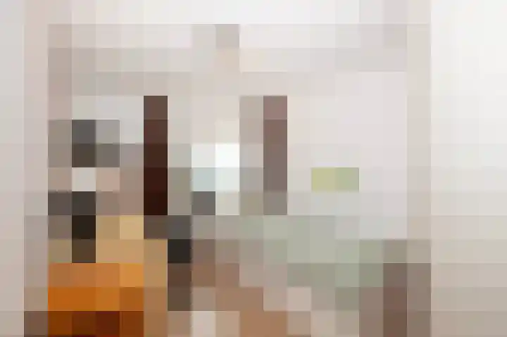 W. Dreeslaan 36 Winterswijk thumbnail 37
