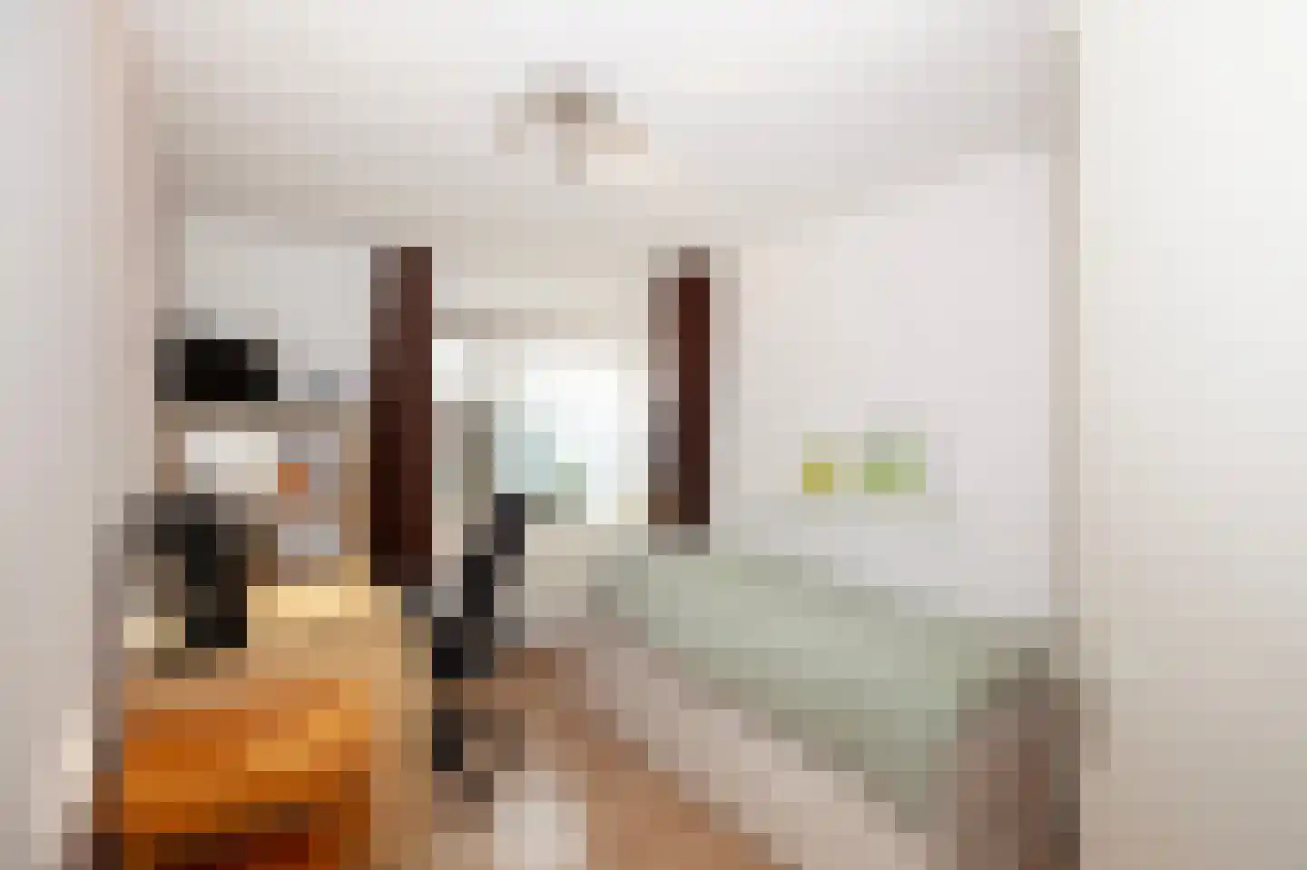 W. Dreeslaan 36 Winterswijk thumbnail 37