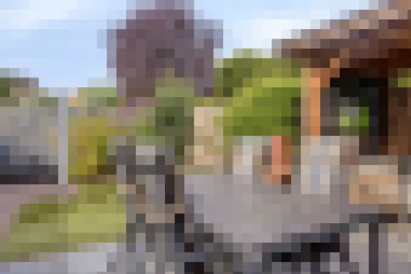 W. Dreeslaan 40 Winterswijk thumbnail 34