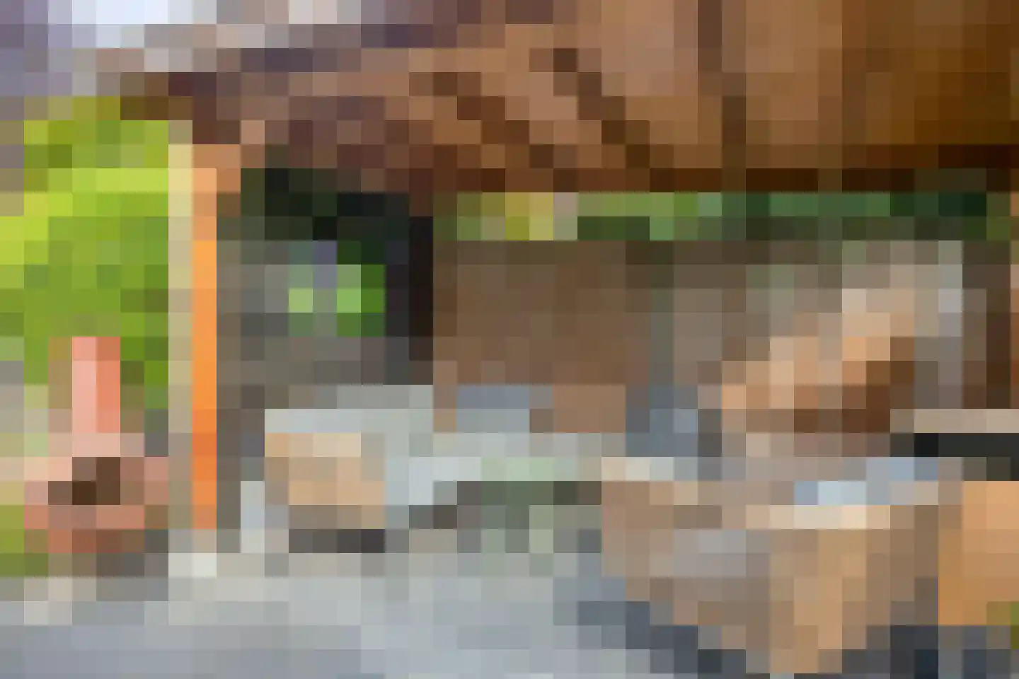 W. Dreeslaan 40 Winterswijk thumbnail 35