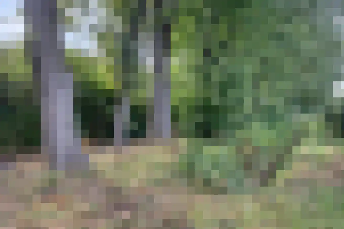 W. Dreeslaan 40 Winterswijk thumbnail 39