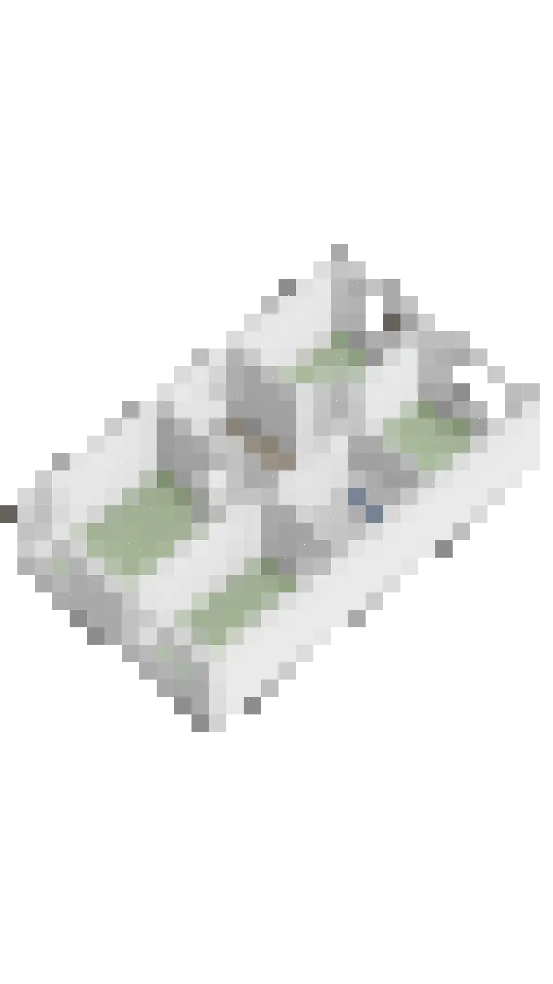 W. Dreeslaan 40 Winterswijk thumbnail 43