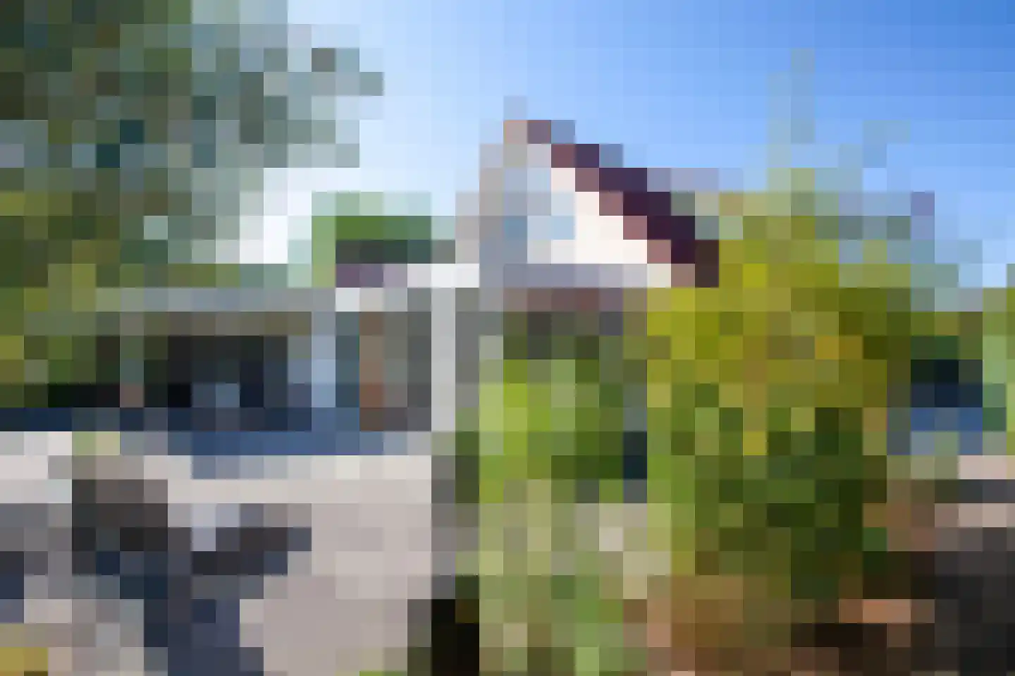 W. Dreeslaan 43 Winterswijk thumbnail 10