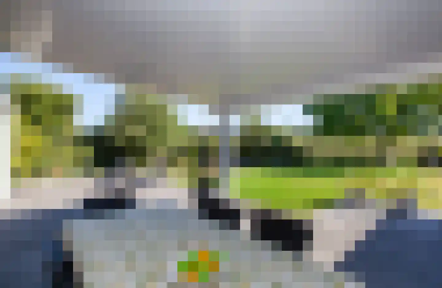 W. Dreeslaan 43 Winterswijk thumbnail 11
