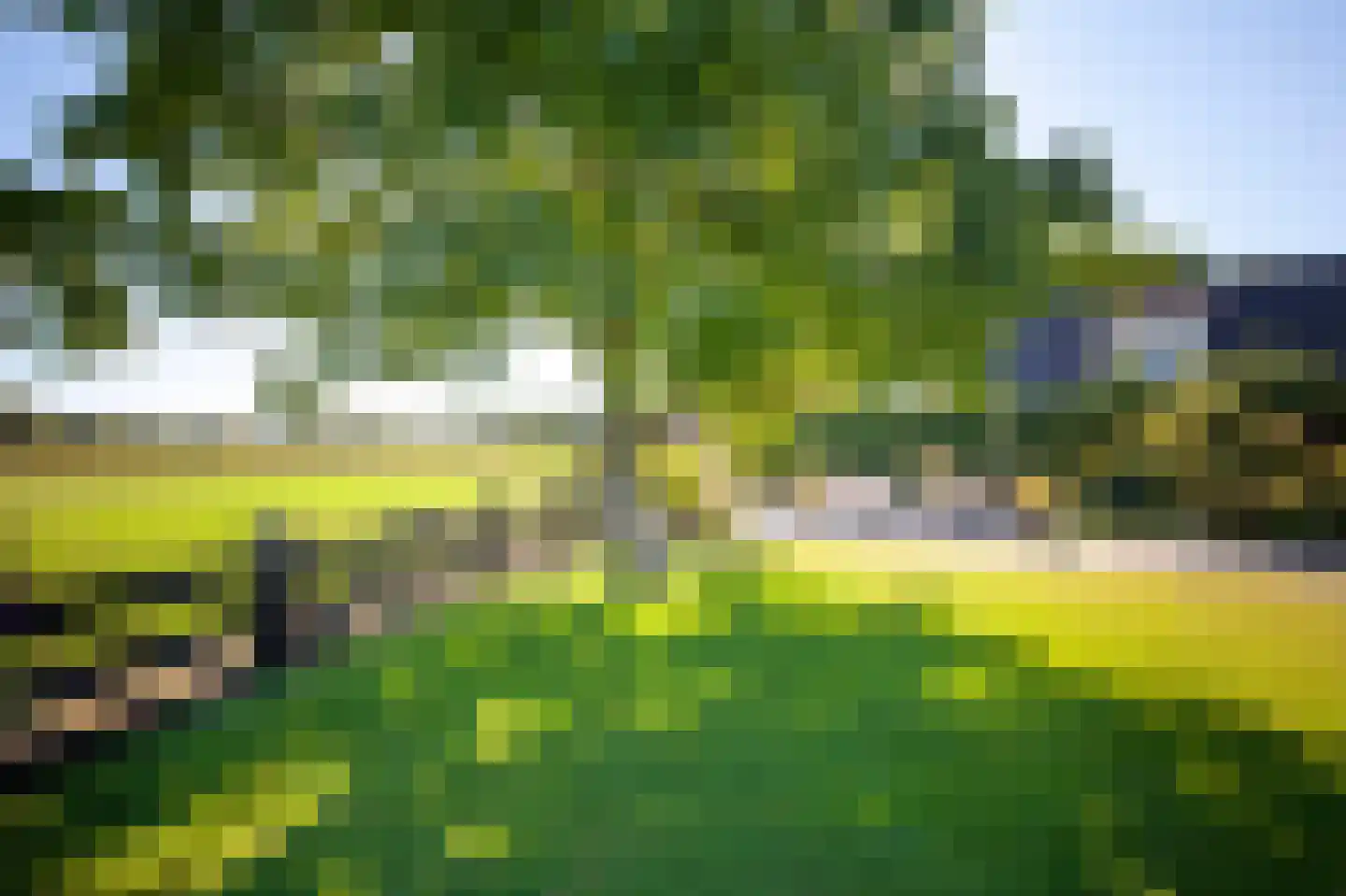 W. Dreeslaan 43 Winterswijk thumbnail 18