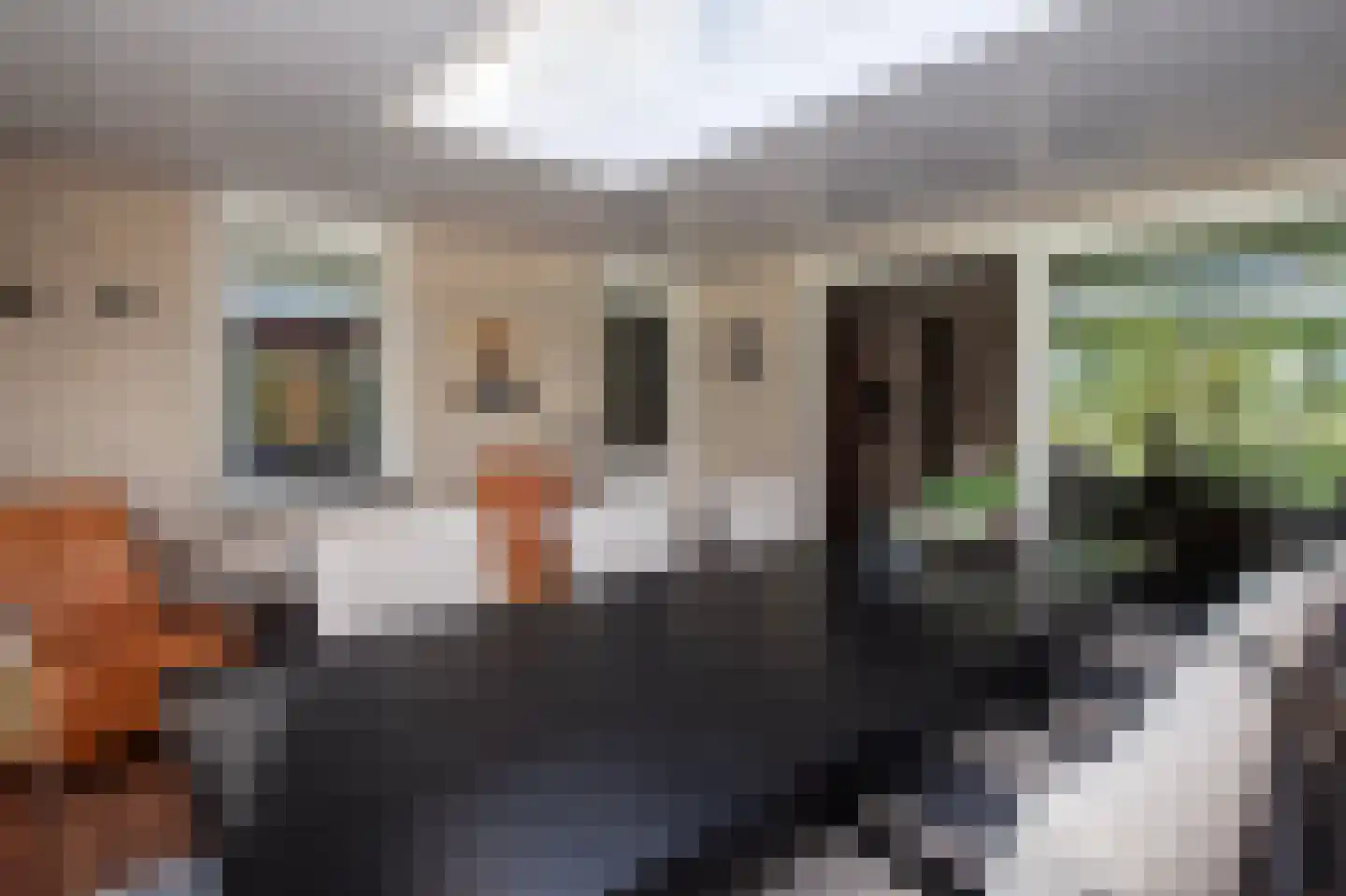 W. Dreeslaan 43 Winterswijk thumbnail 34