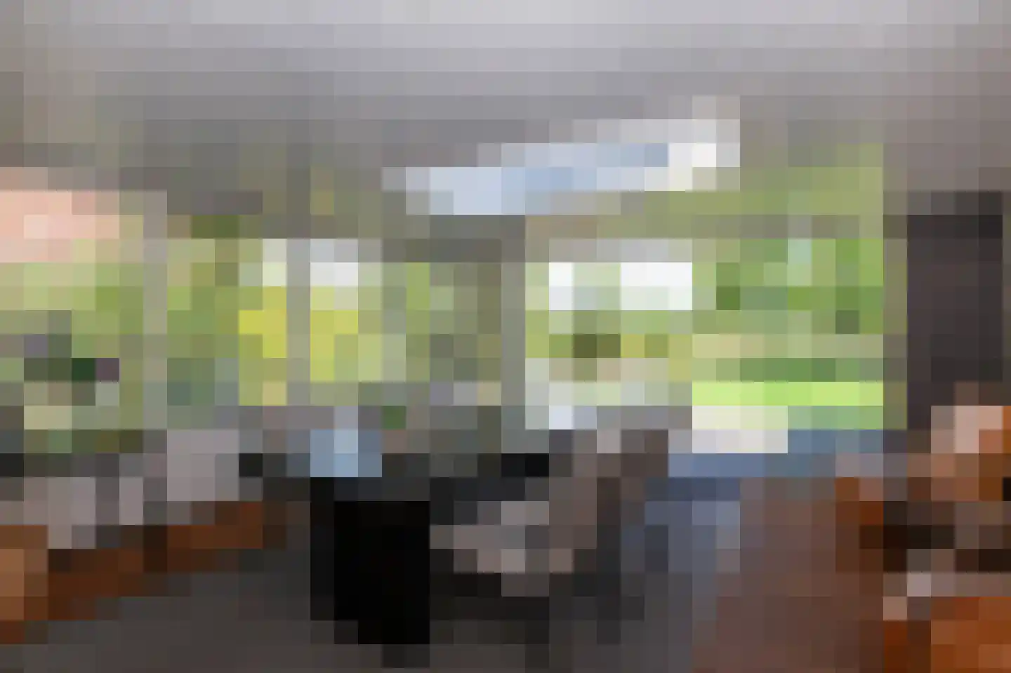W. Dreeslaan 43 Winterswijk thumbnail 35