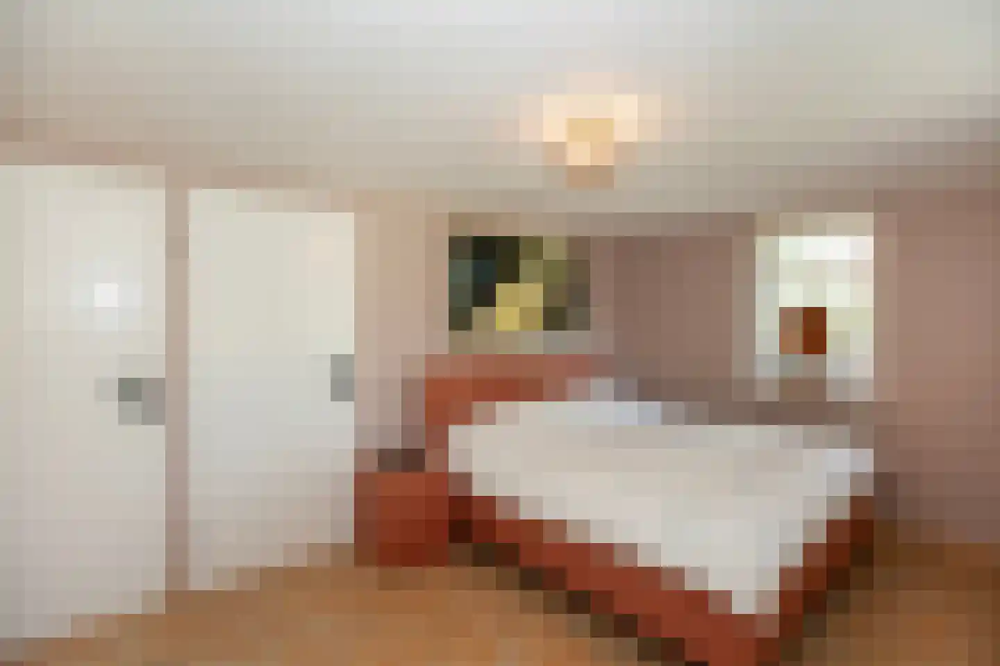W. Dreeslaan 43 Winterswijk thumbnail 38