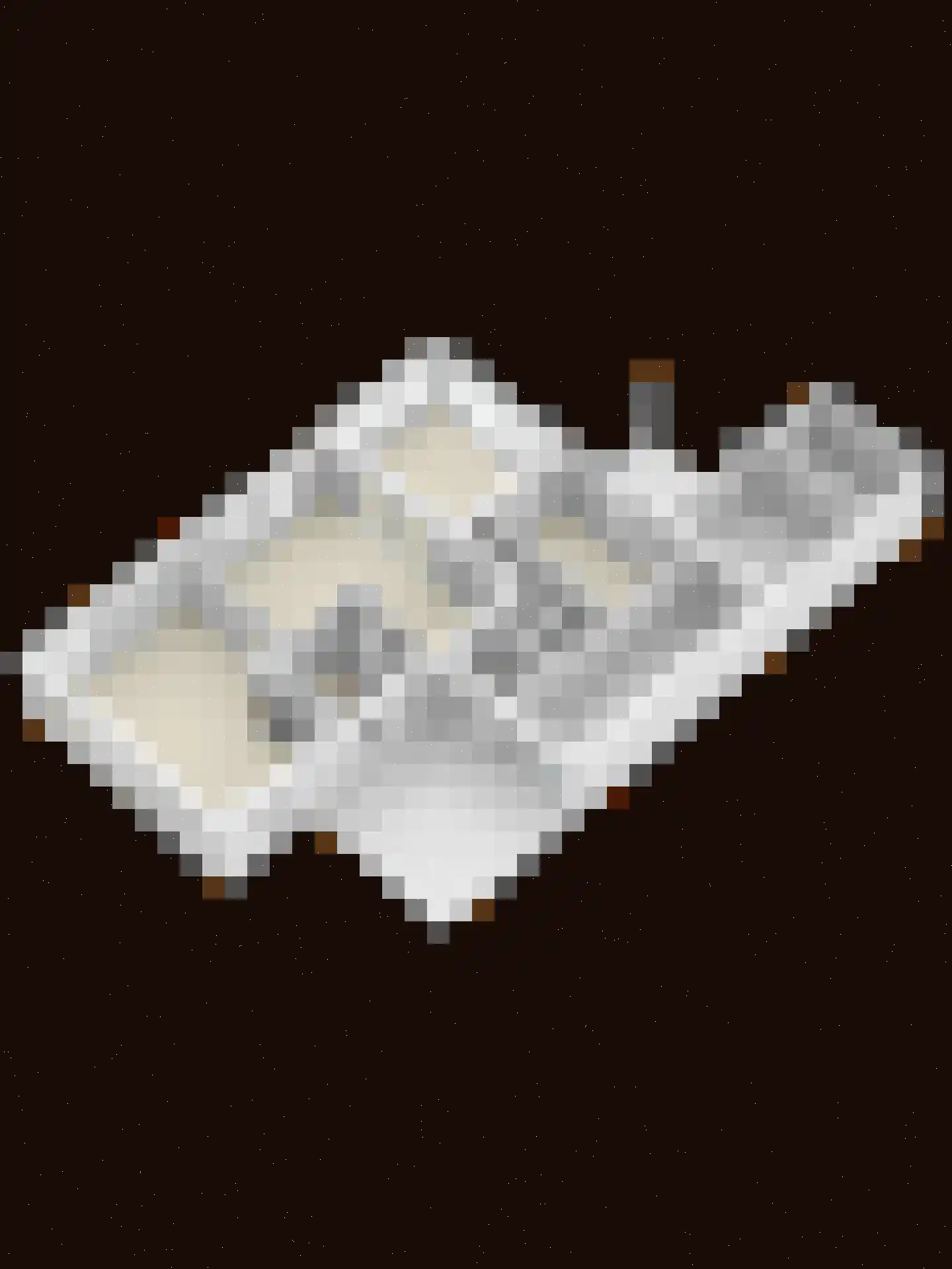 W. Dreeslaan 43 Winterswijk thumbnail 62