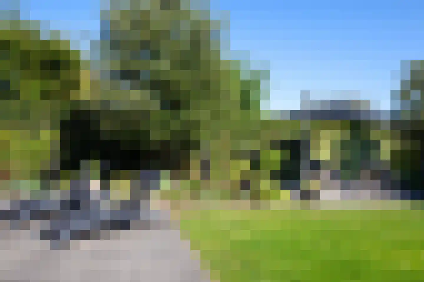 W. Dreeslaan 43 Winterswijk thumbnail 8