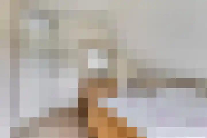 W. Dreeslaan 47 Winterswijk thumbnail 31