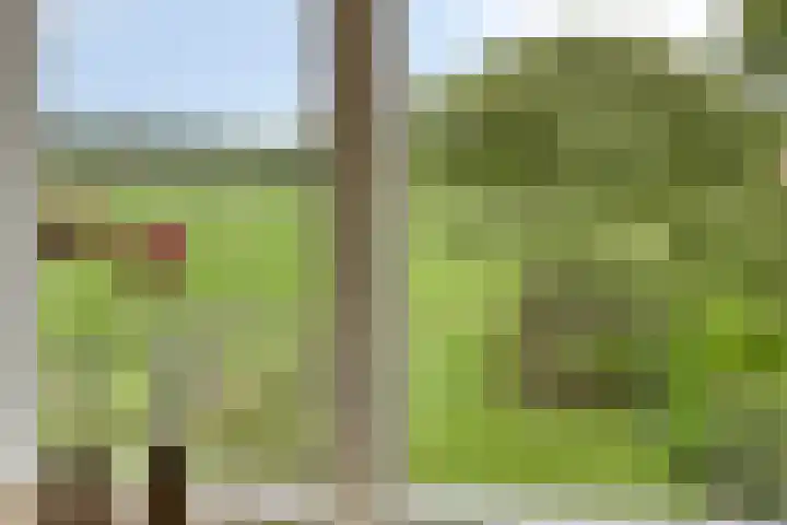 W. Dreeslaan 47 Winterswijk thumbnail 32