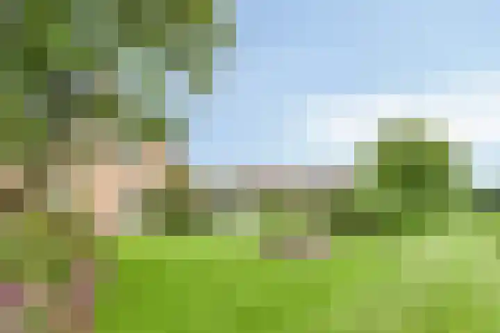 W. Dreeslaan 47 Winterswijk thumbnail 47