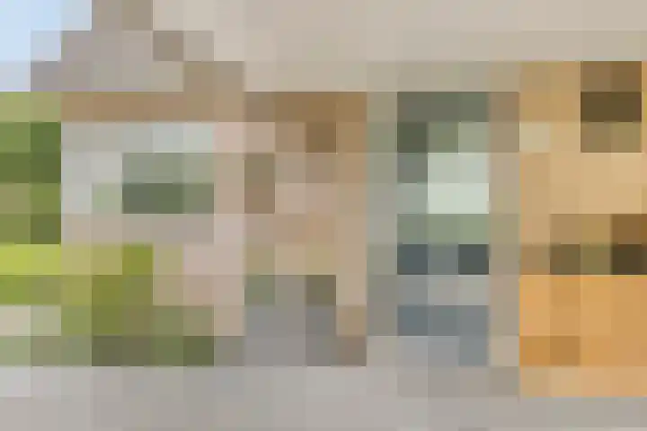 W. Dreeslaan 47 Winterswijk thumbnail 5
