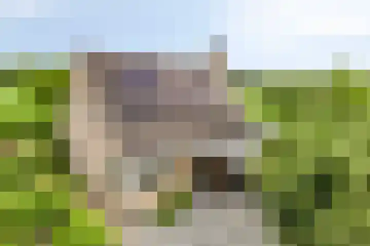 W. Dreeslaan 47 Winterswijk thumbnail 51