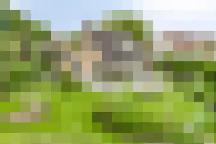W. Dreeslaan 47 Winterswijk thumbnail 53
