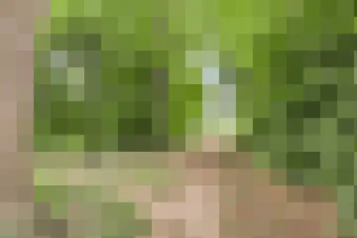W. Dreeslaan 47 Winterswijk thumbnail 55