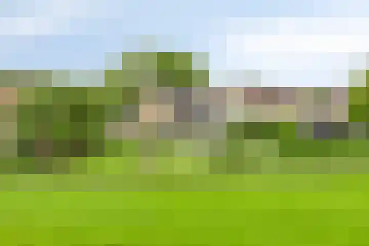 W. Dreeslaan 47 Winterswijk thumbnail 59