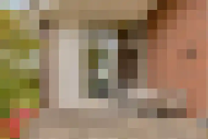 W. Dreeslaan 49 Winterswijk thumbnail 58