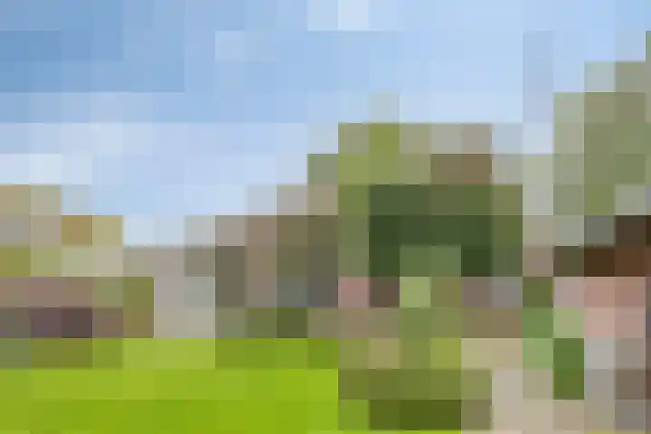 W. Dreeslaan 49 Winterswijk thumbnail 6