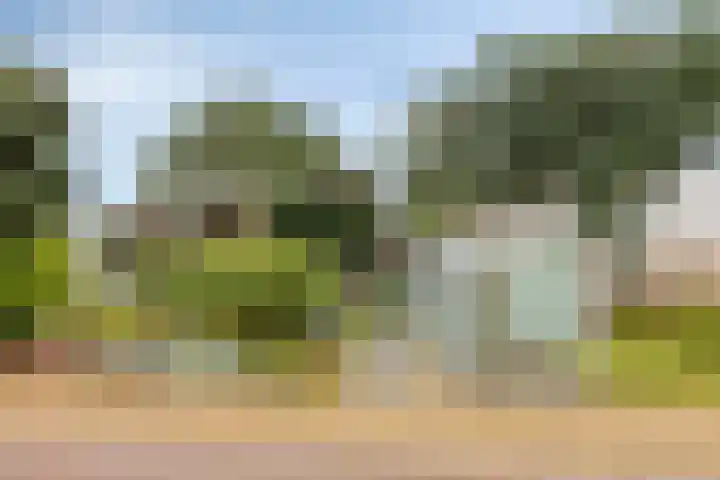 W. Dreeslaan 49 Winterswijk thumbnail 7