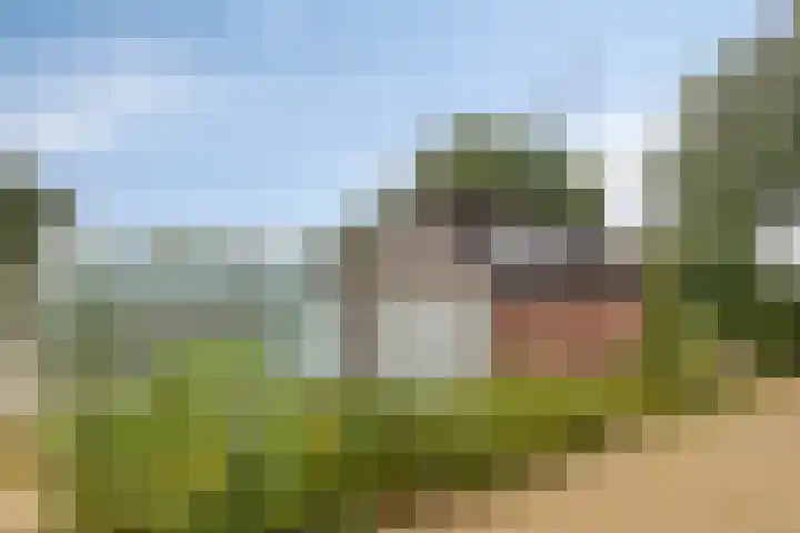 W. Dreeslaan 49 Winterswijk thumbnail 8