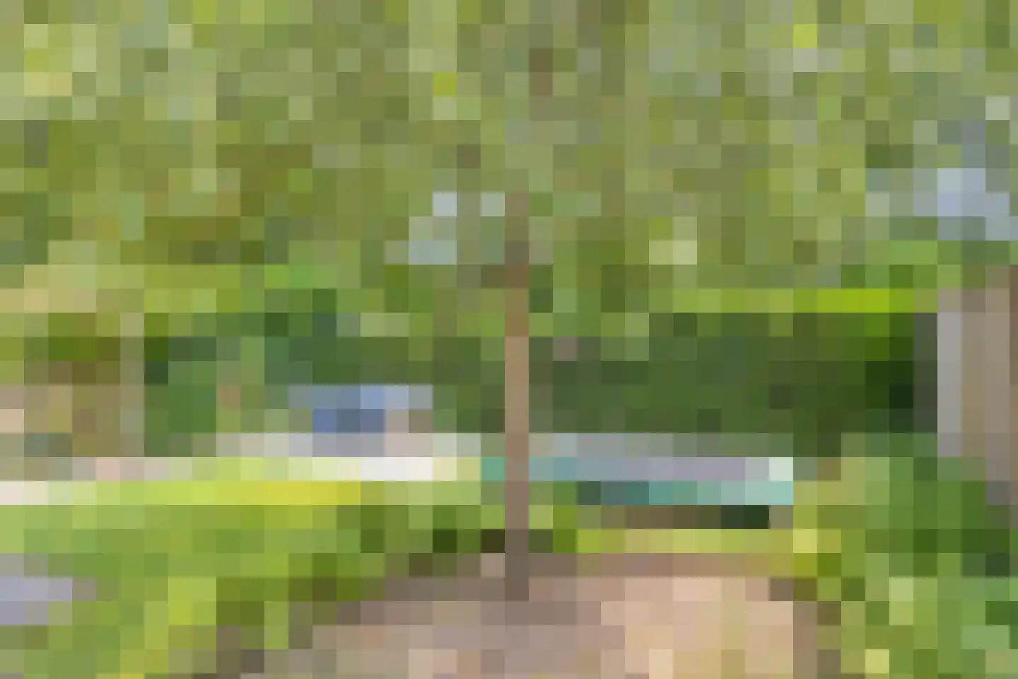 W. Dreeslaan 55 Winterswijk thumbnail 38