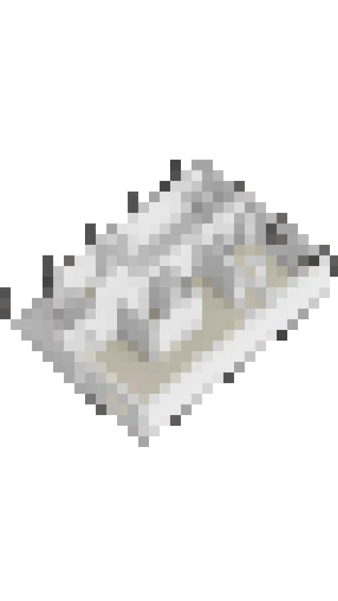 W. Dreeslaan 55 Winterswijk thumbnail 47