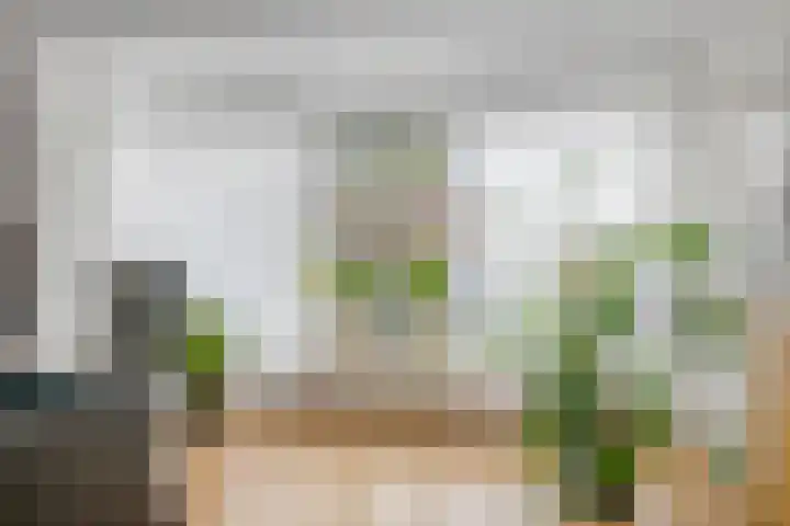 W. Dreeslaan 6 Winterswijk thumbnail 10