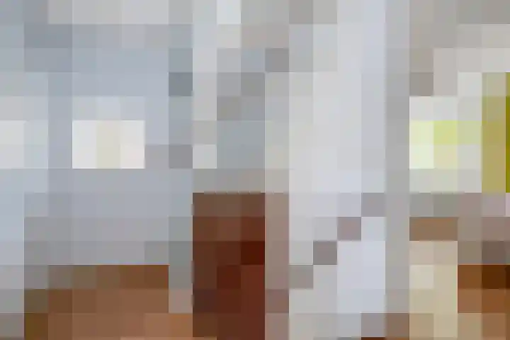 W. Dreeslaan 6 Winterswijk thumbnail 28