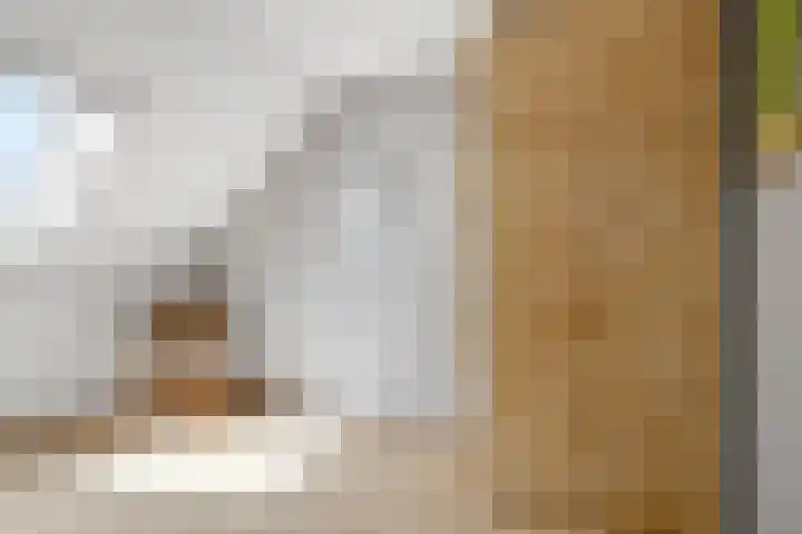 W. Dreeslaan 6 Winterswijk thumbnail 31
