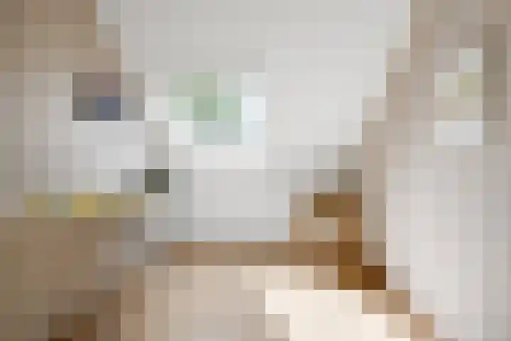 W. Dreeslaan 6 Winterswijk thumbnail 32