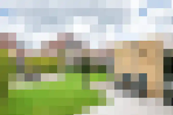 W. Dreeslaan 6 Winterswijk thumbnail 36