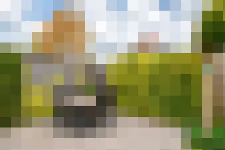 W. Dreeslaan 6 Winterswijk thumbnail 38