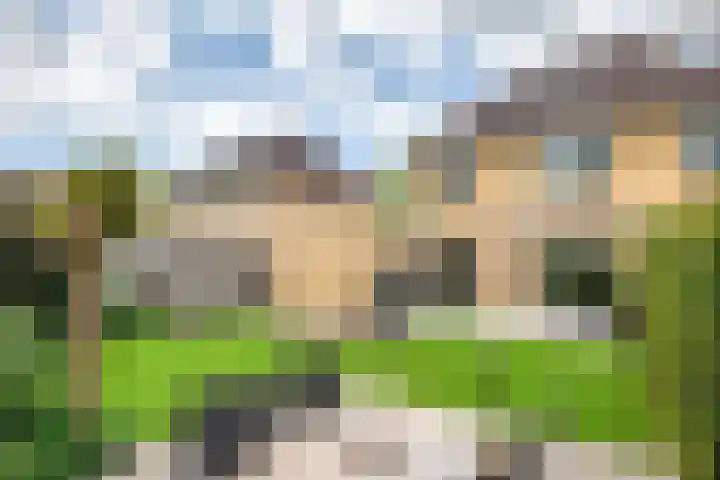 W. Dreeslaan 6 Winterswijk thumbnail 41