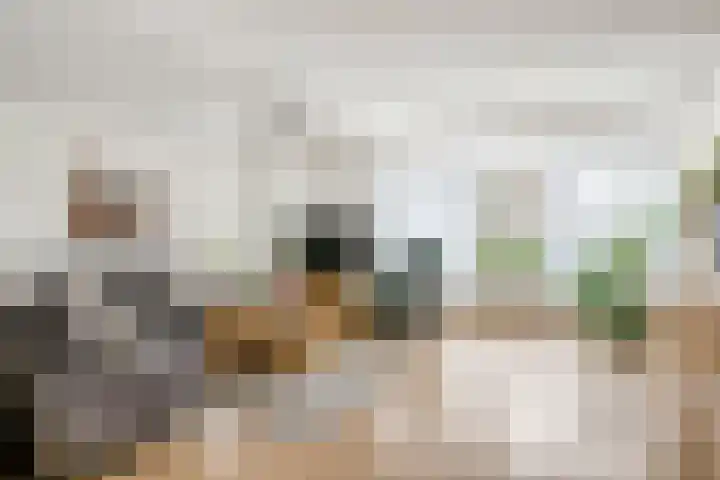 W. Dreeslaan 6 Winterswijk thumbnail 6
