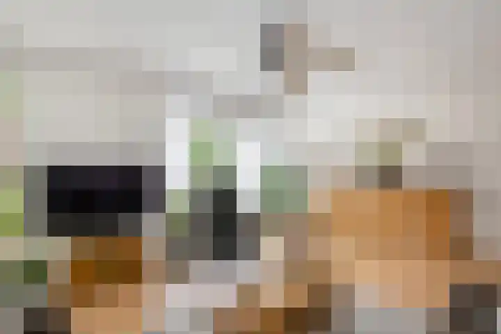 W. Dreeslaan 6 Winterswijk thumbnail 8