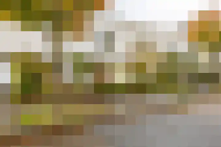 W. Dreesstraat 42 in Groningen