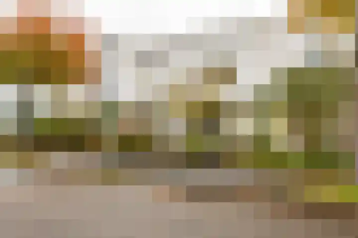 W. Dreesstraat 42 Groningen thumbnail 12