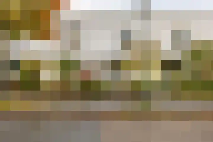 W. Dreesstraat 42 Groningen thumbnail 13
