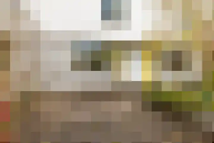 W. Dreesstraat 42 Groningen thumbnail 14