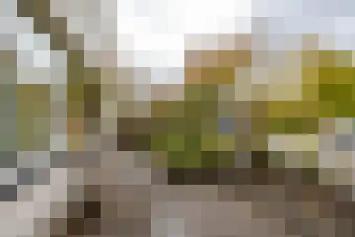 W. Dreesstraat 42 Groningen thumbnail 15