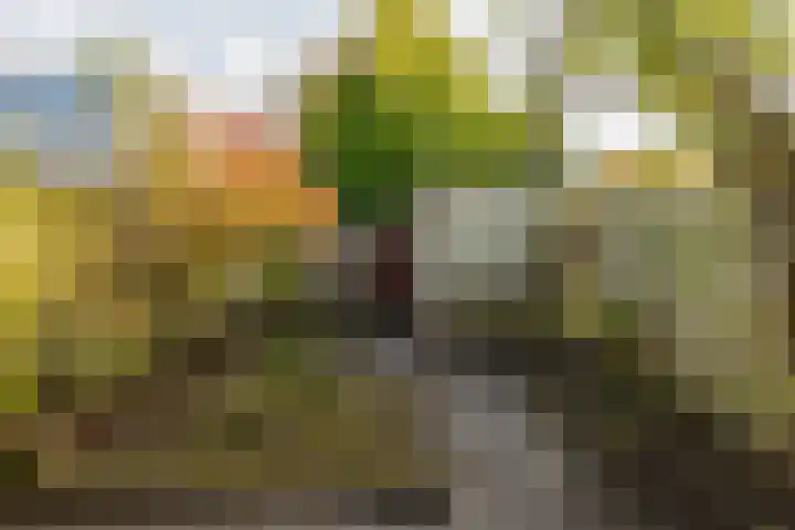 W. Dreesstraat 42 Groningen thumbnail 31
