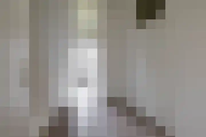 W. Dreesstraat 42 Groningen thumbnail 34