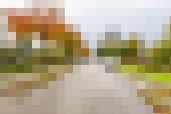 W. Dreesstraat 42 Groningen thumbnail 7