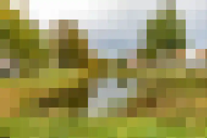 W. Dreesstraat 42 Groningen thumbnail 8