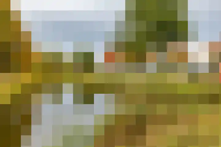 W. Dreesstraat 42 Groningen thumbnail 9